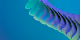 waves - 0YDEzhJpae