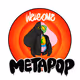 Welcome to Metapop