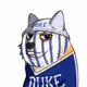 Duke Doges