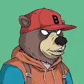Street Bears'