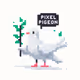 Pixel Pigeons
