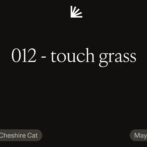012 - touch grass