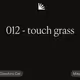 012 - touch grass