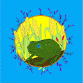 Bored Frogs