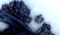 Fractal Biota Tarot