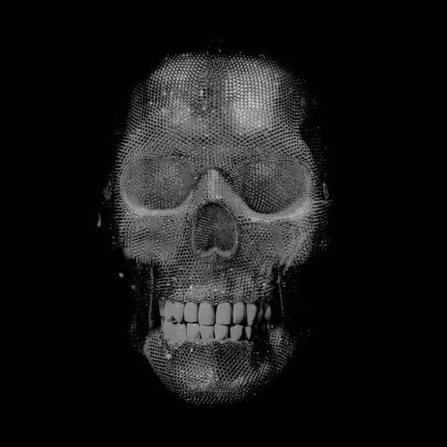 Noir et Blanc on Rarible