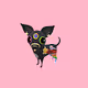 Funny Dogs Green