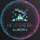 Northern Aurora