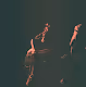 Concert photos 2