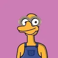 Millennial Duckz