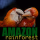 Amazonian postcards