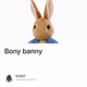 Bony banny