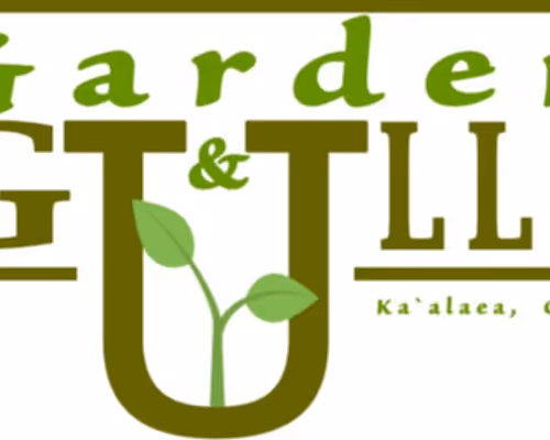 Roots' Open Editions (Polygon)