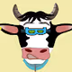 Crypto Cow X