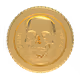 Gold SKuLZ Coin