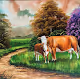 Nature and animals V4