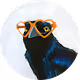 GRACKLEZ