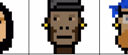 Poly Punk Collection