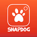 SNAPDOGE