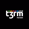 t3rm.dev: Polygon