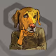 Cyber K9s Series 1