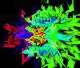 Colorful motion