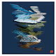Sea_Life_Collection