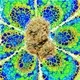 Weed Strains NFT