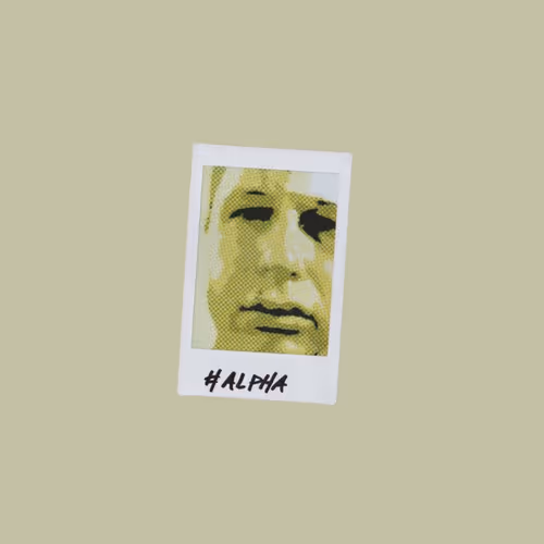 Pink Sink Newsletter Alpha