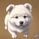 Mizzi Pup