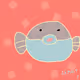 shippi daily smile