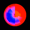 Segments