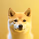 Doge world
