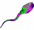 SpermClub_