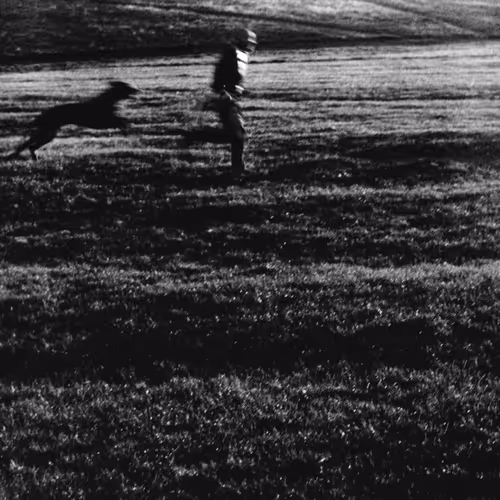 Charles Cave - Hot Dogs