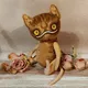 Cheshire Kittens and Annie