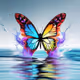 butterfly art