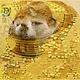 Doge metaverse acid art