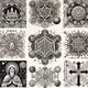 # 113 Sacred Geometry