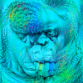 Primal Apes