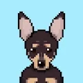 MinPins