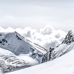 Swiss Crypto Stamp 5.0 - Basic Edition