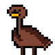 Emus