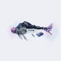 Cyber Fish