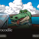 X Crocodile