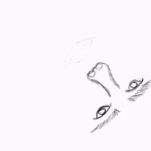 Faceooo