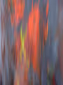 Abstract Nature - ICM