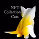 CatsNFT Collection