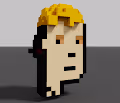 The Voxel Visages
