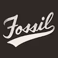 Fossil x Stapleverse